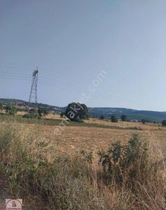 Arsa-Tarla