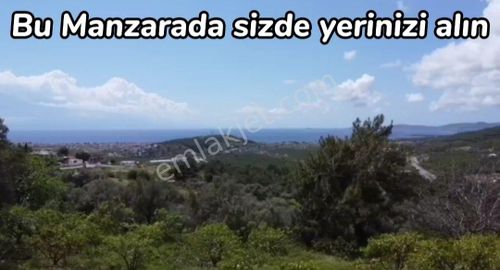 Arsa-Tarla