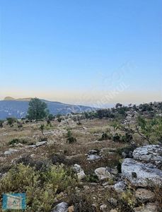 Arsa-Villa İmarlı