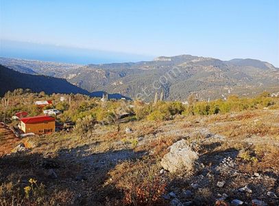 Arsa-Tarla