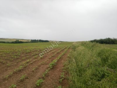 Arsa-Tarla