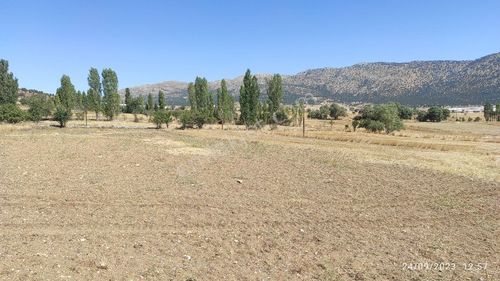 Arsa-Tarla