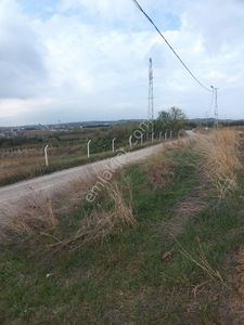 Arsa-Tarla