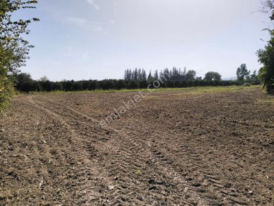 Arsa-Tarla