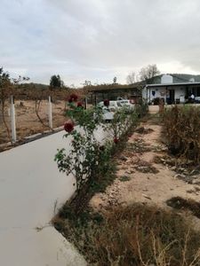 Arsa-Bağ & Bahçe