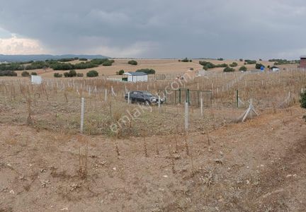 Arsa-Tarla