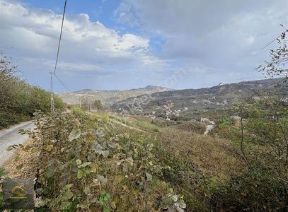 Arsa-Tarla