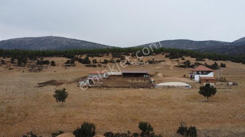 Arsa-Tarla