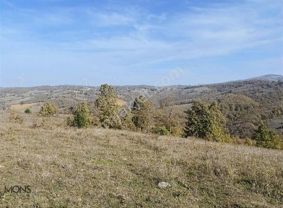 Arsa-Tarla