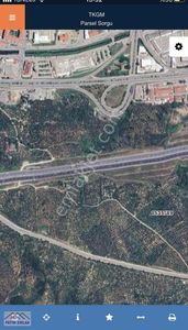 Arsa-Zeytinlik