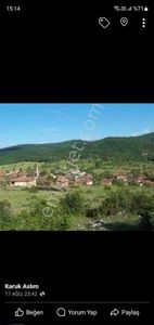 Arsa-Tarla