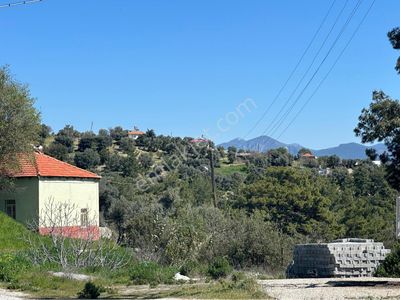 Arsa-Tarla