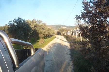 Arsa-Tarla