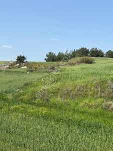 Arsa-Tarla