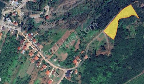 Arsa-Tarla
