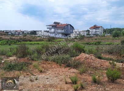 Arsa-Konut İmarlı