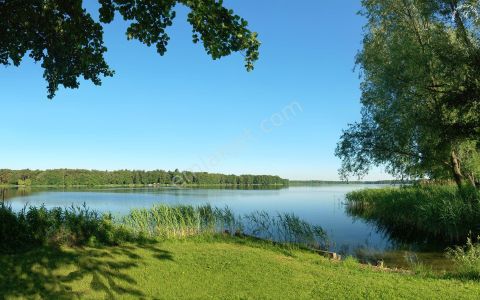 Arsa-Tarla