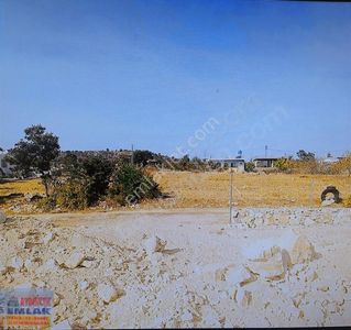 Arsa-Konut İmarlı