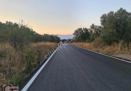 Arsa-Tarla