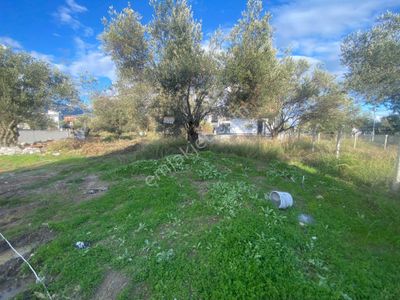 Arsa-Villa İmarlı