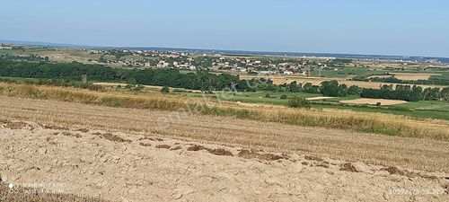 Arsa-Tarla