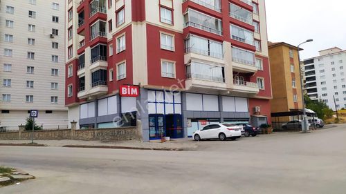 İşyeri-Dükkan & Mağaza