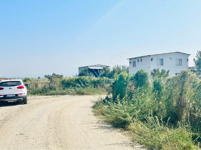 Arsa-Zeytinlik