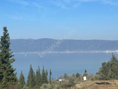 Arsa-Konut İmarlı
