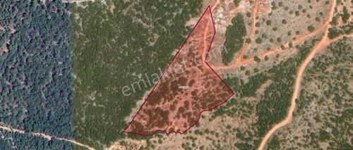 Arsa-Bağ & Bahçe