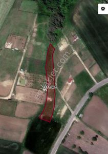 Arsa-Tarla