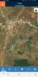 Arsa-Zeytinlik