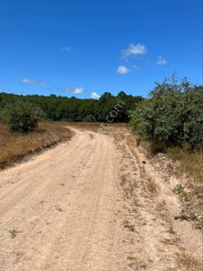 Arsa-Tarla