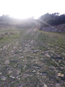 Arsa-Tarla