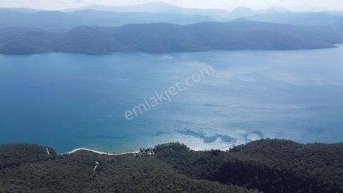 Arsa-Zeytinlik