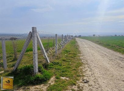 Arsa-Tarla