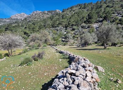 Arsa-Tarla