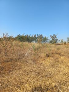 Arsa-Tarla