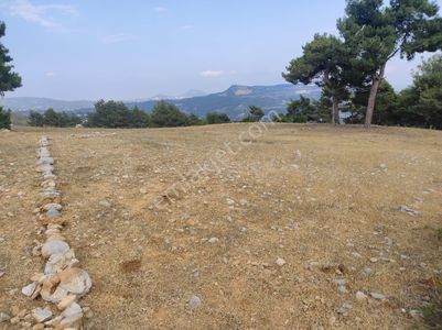 Arsa-Villa İmarlı