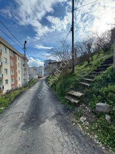 Arsa-Konut İmarlı