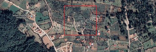 Arsa-Tarla