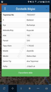 Arsa-Zeytinlik