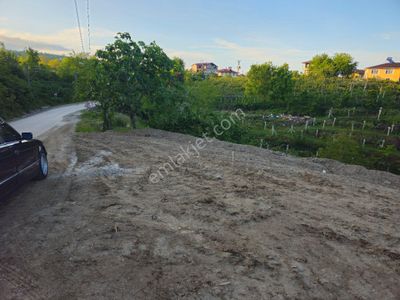 Arsa-Bağ & Bahçe