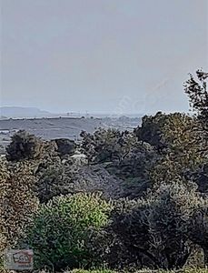 Arsa-Tarla