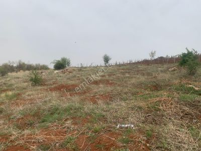 Arsa-Bağ & Bahçe