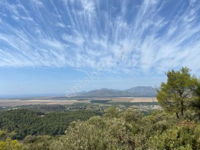 Karia Gayrimenkul'den Dalaman Şerefler'de Satılık 1822 M2 Satılık Tarla!