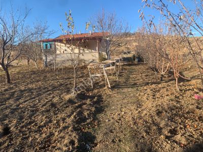 Arsa-Tarla