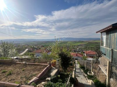 Arsa-Bağ & Bahçe