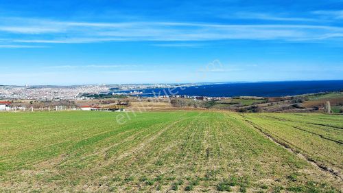 Arsa-Tarla