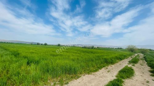Arsa-Tarla