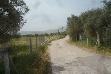 Arsa-Bağ & Bahçe